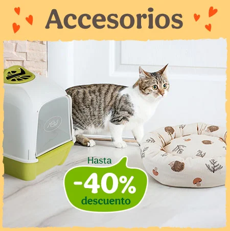 Hasta 40% dto en accesorios para gatos.