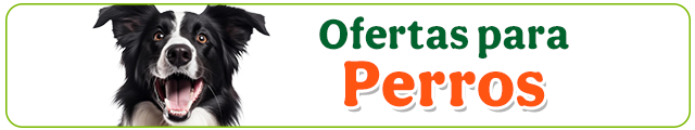 Ofertas perro