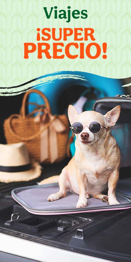 Accesorios de viaje con súper precios.