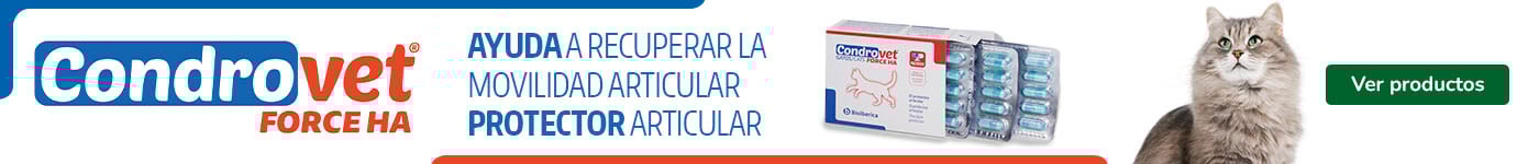 Condrovet: Salud articular para gatos