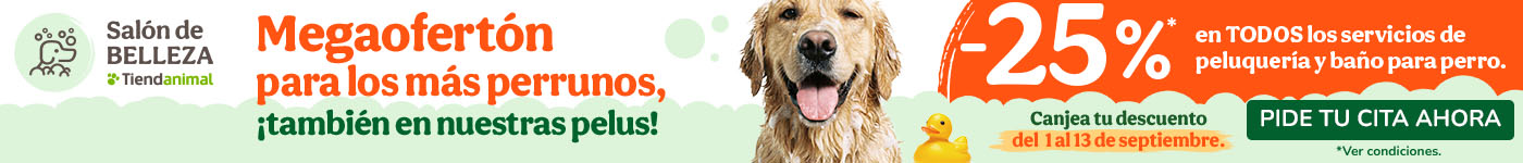 25% dto en servicios de peluquería y baño para perros.