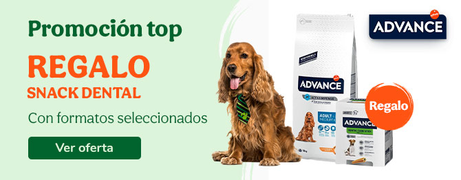 Snacks dentales de regalo con formatos seleccionados de pienso Advance