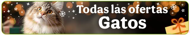 Todas las ofertas gato