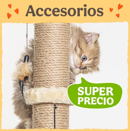 Accesorios con superprecios.