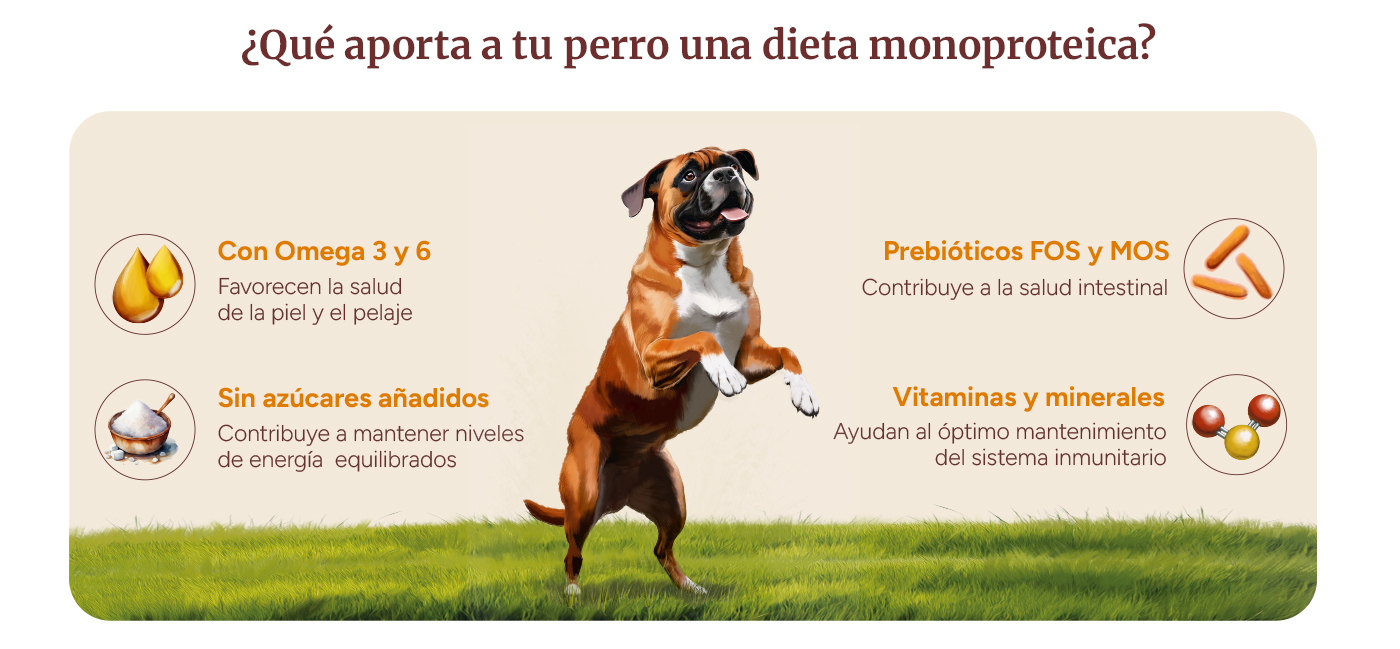 Dieta Monoproteica: Con omega 3 y 6, sin azúcares añadidos, prebióticos FOS y MOS, vitaminas y minerales.