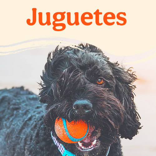 Juguetes