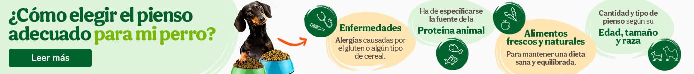 ¿Cómo escoger el pienso adecuado para tu mascota?