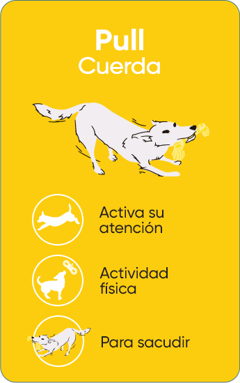 Pull -  Juguetes de cuerda para perros para lanzar y buscar. Fomenta su actividad físca.
