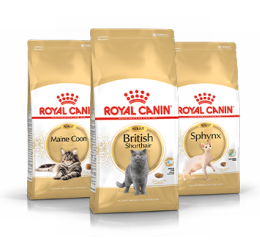 Royal Canin Gato Razas