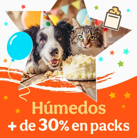 Más del 30% dto en packs de comida húmeda.