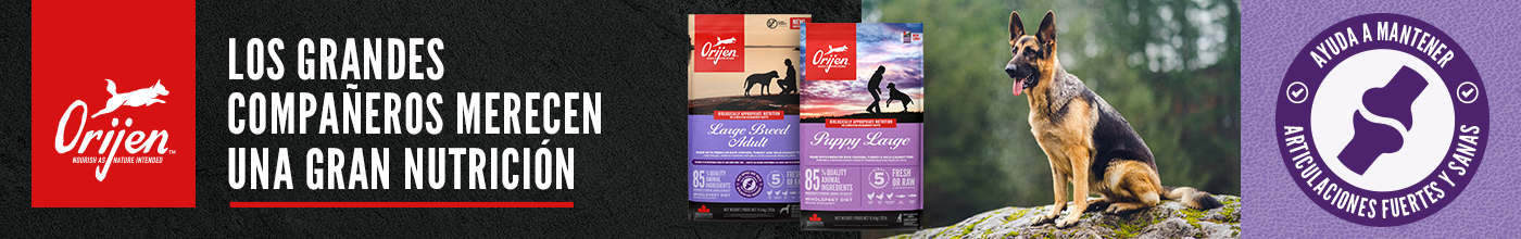 Orijen razas maxi. Los grandes compañeros merecen una gran nutrición.