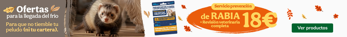 Tarjetas de servicios clínicos para hurones