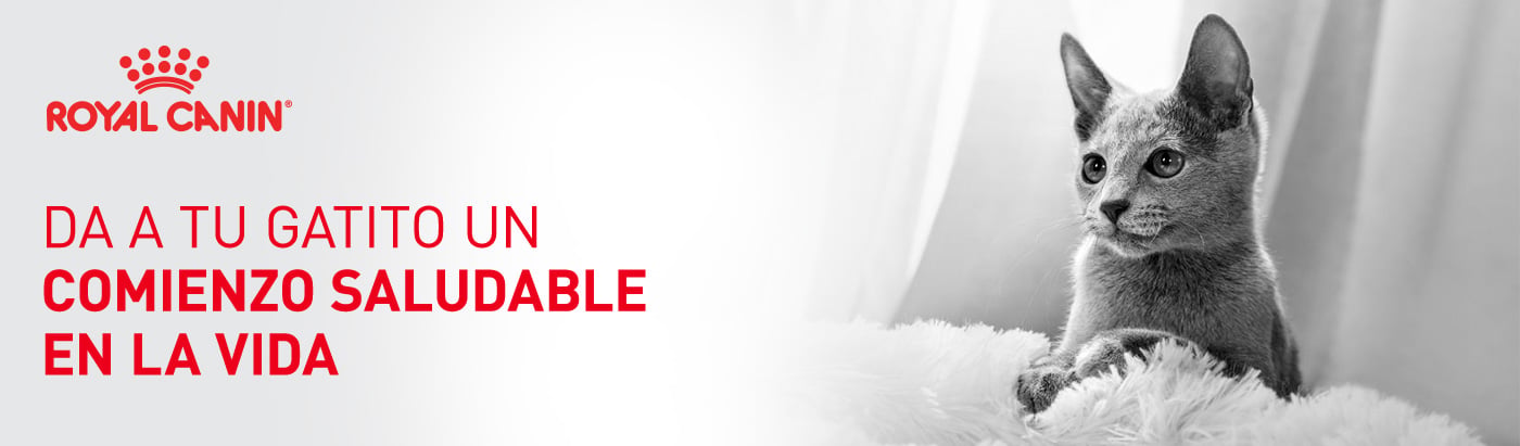 Royal Canin. Da a tu gatito un comienzo saludable en la vida