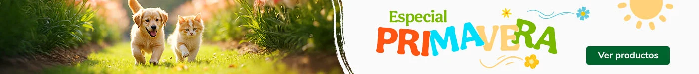 ¡Llega en buen tiempo! Selección de productos para disfrutar del buen tiempo con tu mascota
