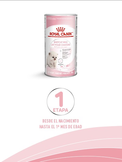 Royal Canin Gatito