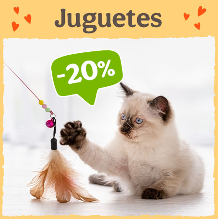 20% dto en juguetes para gatos.