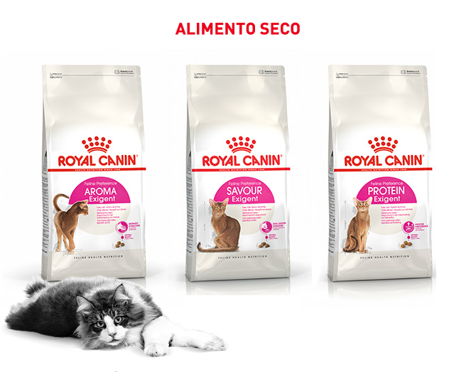 Royal Canin Exigent Savour. El pienso perfecto si tu gato es de paladar caprichoso.