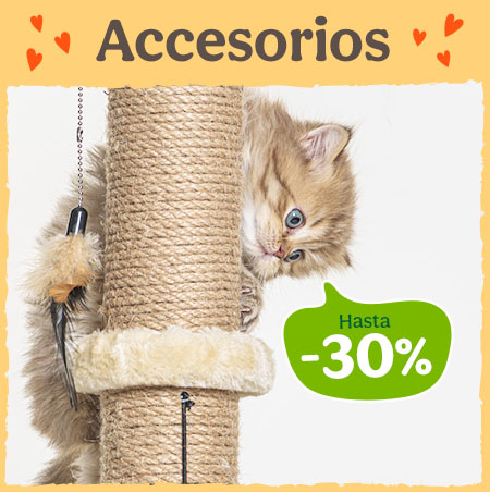 Hasta 30% dto en accesorios e higiene para gatos.