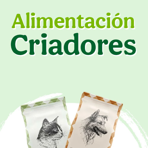 Criadores