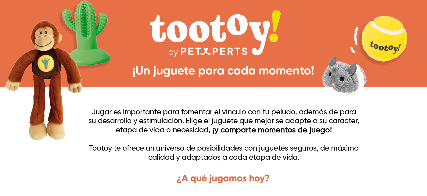 Tootoy ¡Un jueguete para cada momento!