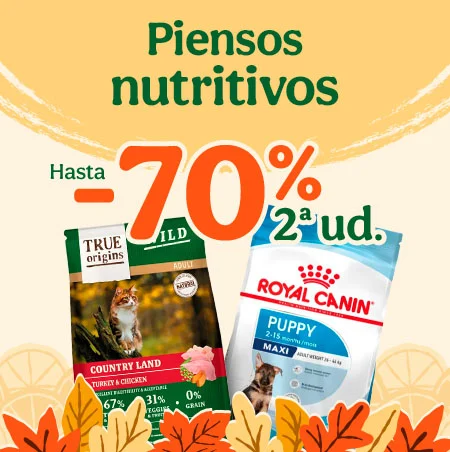 Hasta 70% dto en la 2ª ud de pienso para tu peludo.