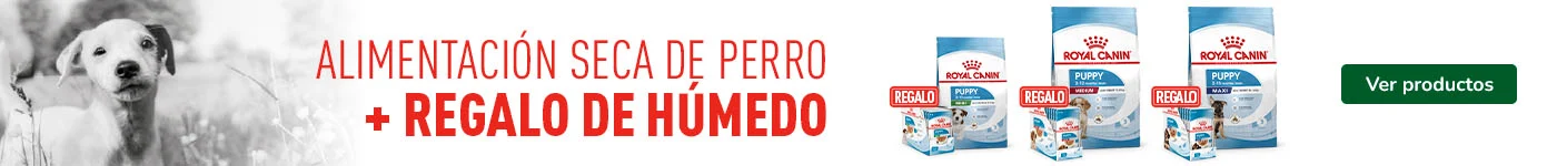 Royal Canin: Pienso para perros con regalo de comida húmeda.