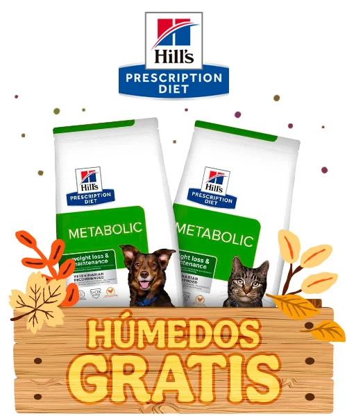 Hill's Prescription Diet: Húmedos de regalo.