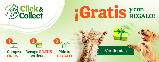 Recoge GRATIS tu pedido en tienda y llévate un regalo