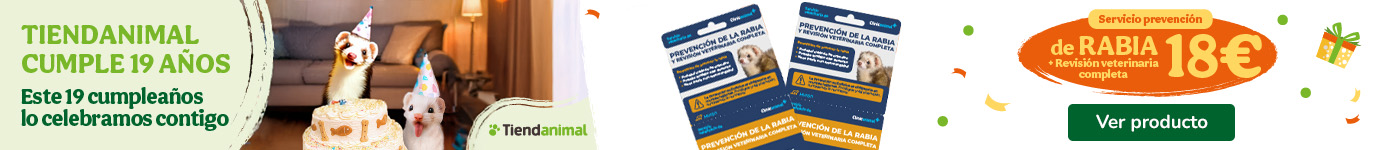 Tarjetas de servicios clínicos para hurones