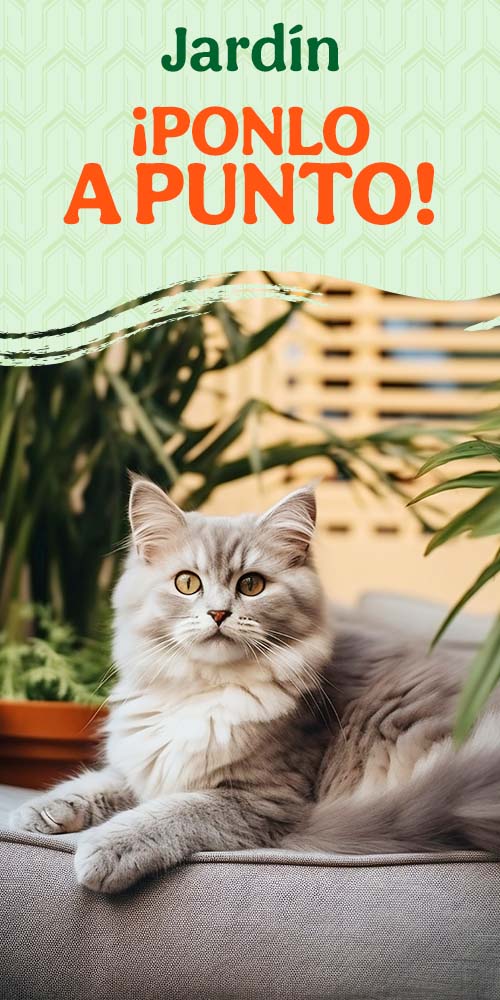 Mobiliario para el jardín.