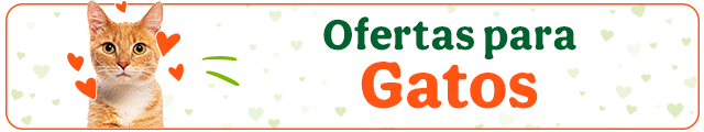 Todas las ofertas gato