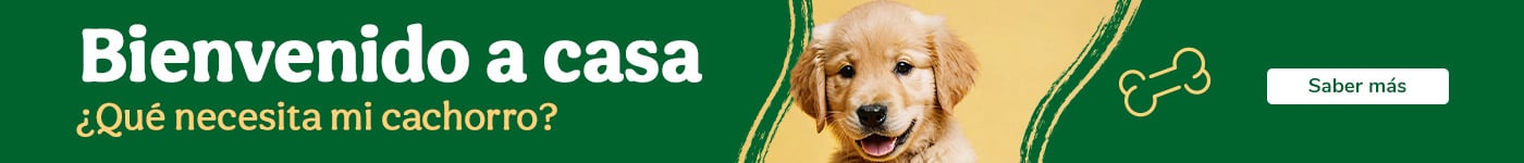 ¿Qué necesita mi cachorrito?
