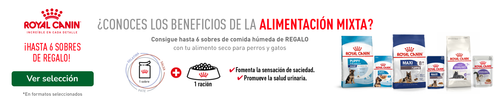 Hasta 6 uds de comida húmeda con la compra de pienso Royal Canin