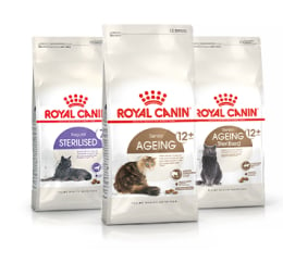 Royal Canin Gato Senior