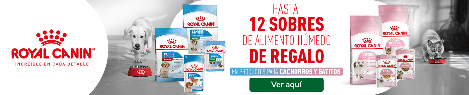 Royal Canin: ¡Hasta 12 húmedos gratis con pienso para perros y gatos!