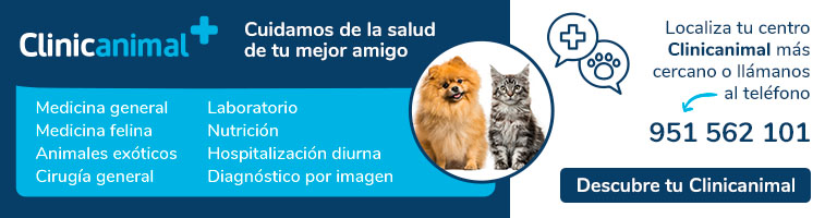 La salud de tu mascota en las mejores manos, Clinicanimal