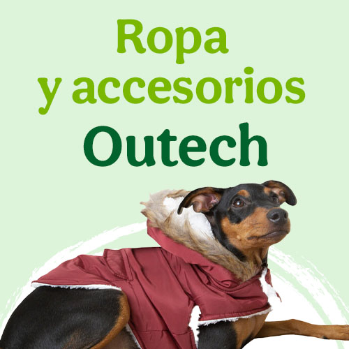 Outech