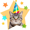 Ofertas Gato