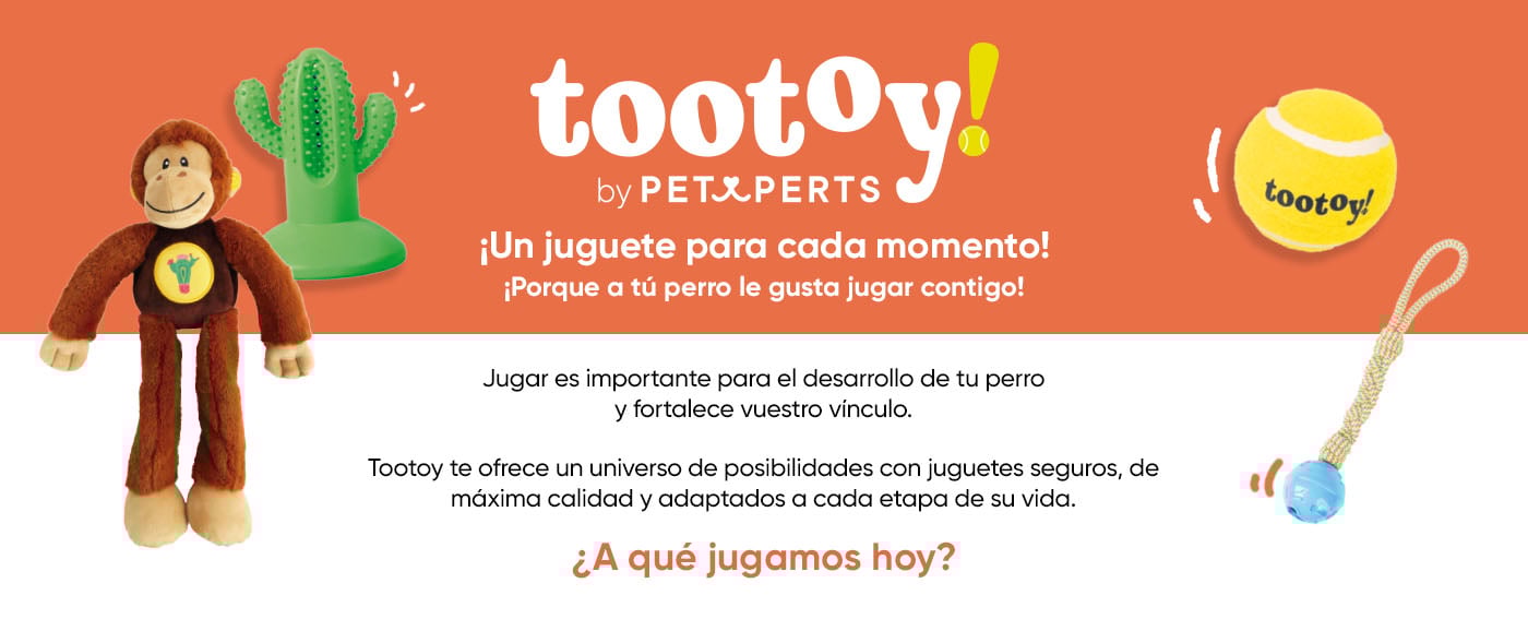 Tootoy