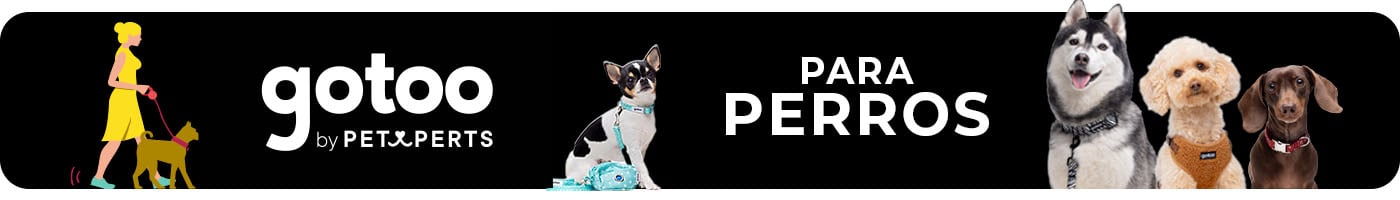 Perro- Selección de accesorios para el paseo diario. Encuentra tu estilo para cada ocasión