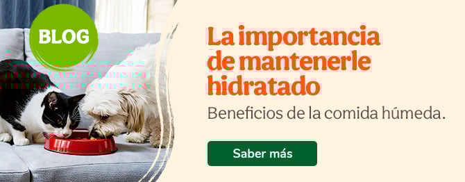 La importancia de la hidratación.