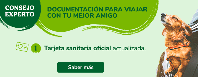 ¿Viajas con tu mascota? Toda la documentación que necesitas en este post