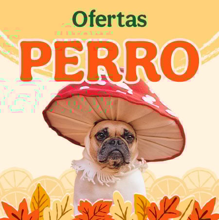 Ofertas perro.