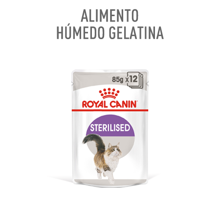 Royal Canin Sterilised comida húmeda en gelatina. Sobres para gato esterilizado