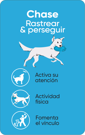 Chase - Juguetes para perro para rastrear y perseguir. Actica su atención y su actividad física