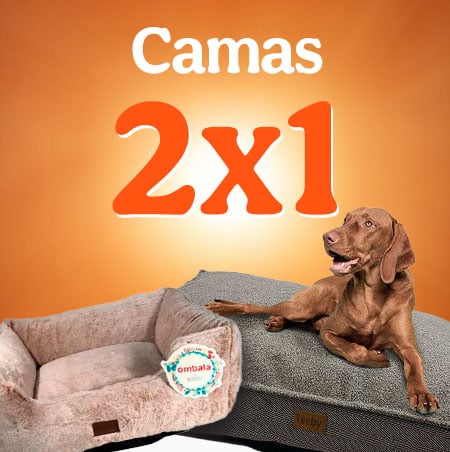 2x1 en camas para tu perro.