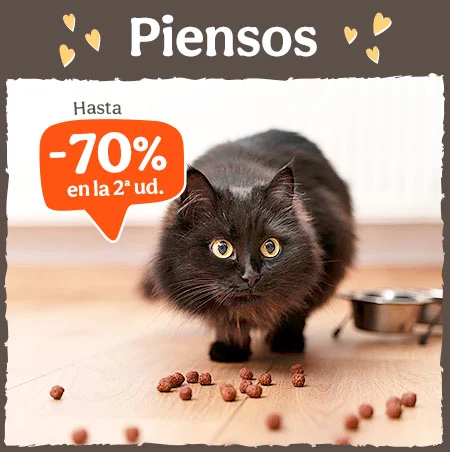 Piensos para Gatos: Hasta 70% dto en la 2ª ud en piensos para tu gato.