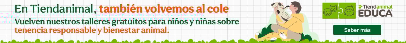 ¡Vuelta al cole! Talleres gratuitos para los más pequeños sobre la tenencia responsable y el bienestar animal.