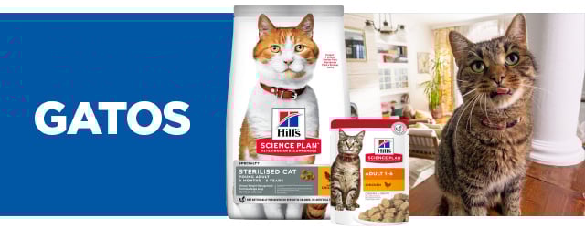 Hill's Science Plan para gatos