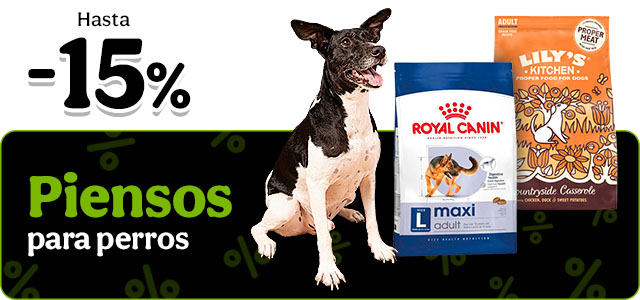 Hasta 15% dto en piensos para perros.